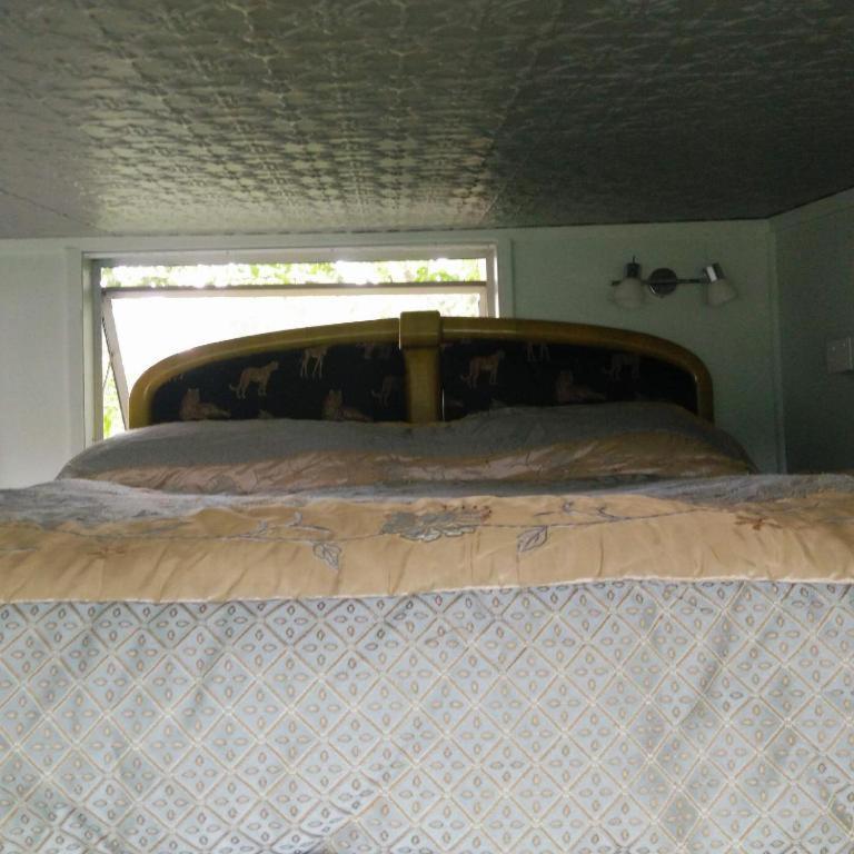 Starry Nights Cabin Fever Waikino Room photo