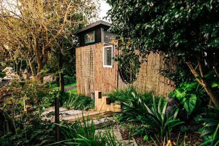 Starry Nights Cabin Fever Waikino Exterior photo